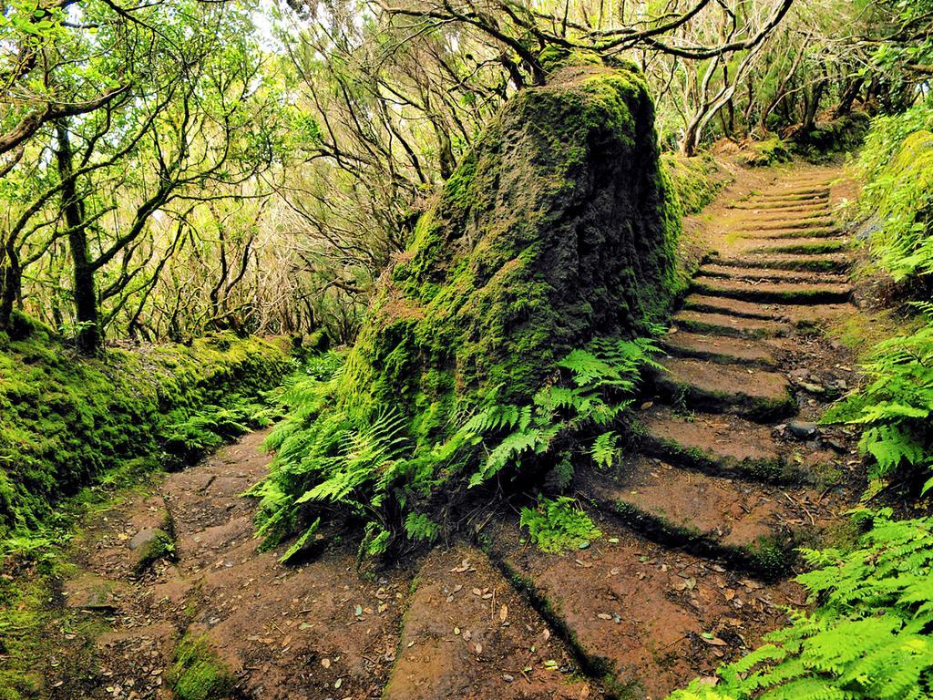 Casa Villa Tenerife Лас Гальетас Экстерьер фото